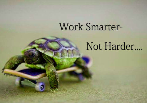 turtle-smarter-not-harder1